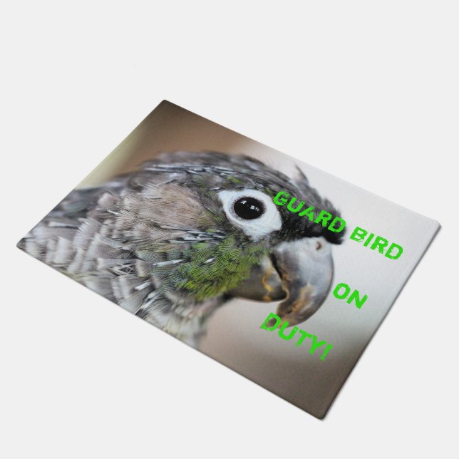 Paillasson Quill city (Incliné)