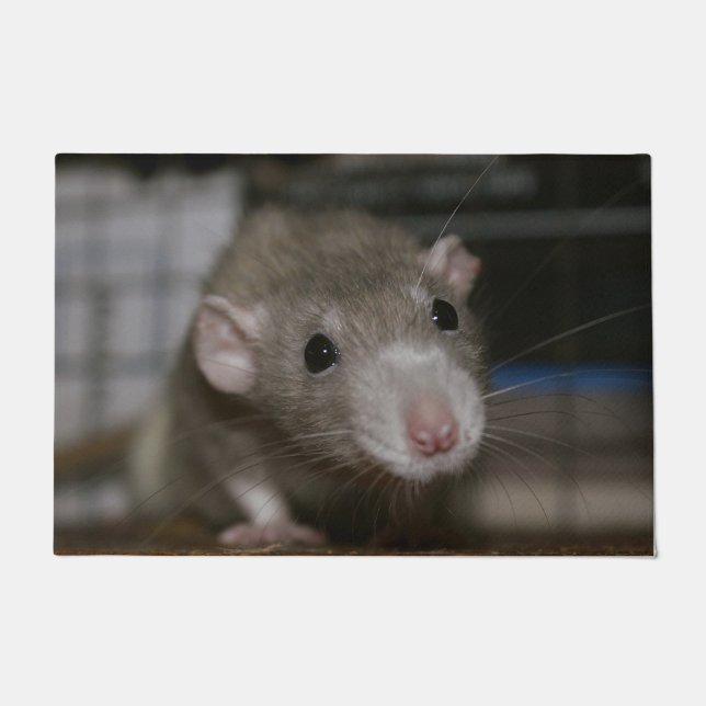 Paillasson Rat curieux (Devant)