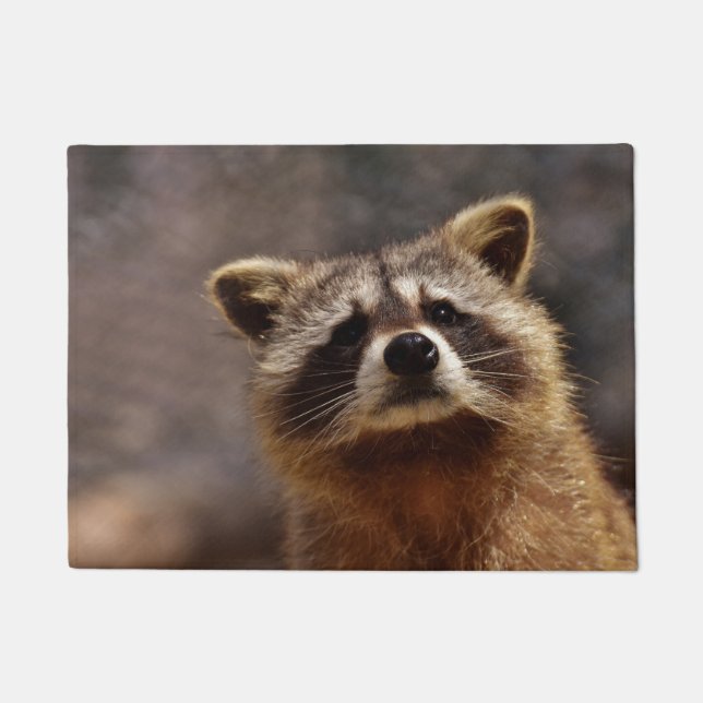 Paillasson Raton laveur curieux (Devant)