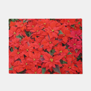 Paillasson Red Poinsettias I Christmas Holiday Floral Photo