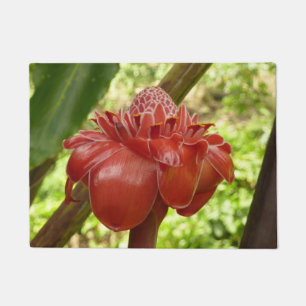 Paillasson Red Torch Ginger Tropical Flower Photographie