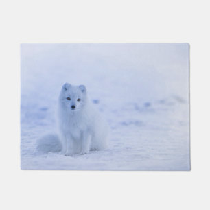 Paillasson Renard arctique de l'Islande