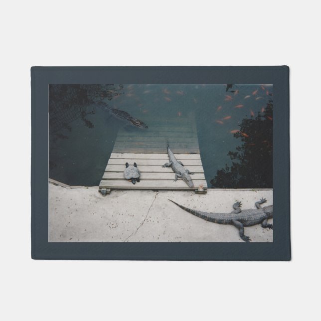 Paillasson Réservoir de reptiles (Devant)