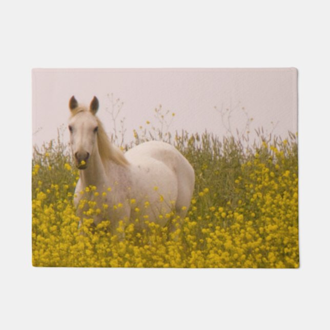 Paillasson Ressort (Devant)