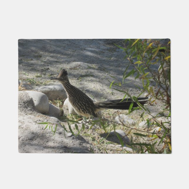 Paillasson Roadrunner (Devant)