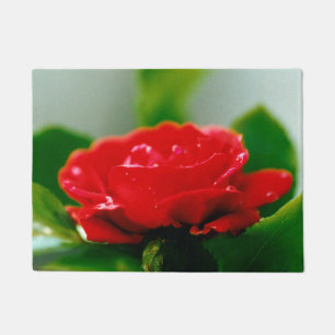 Paillasson Rose rouge du matin recouverte de gouttes de rosée