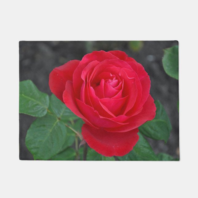 Paillasson Rose rouge simple (Devant)