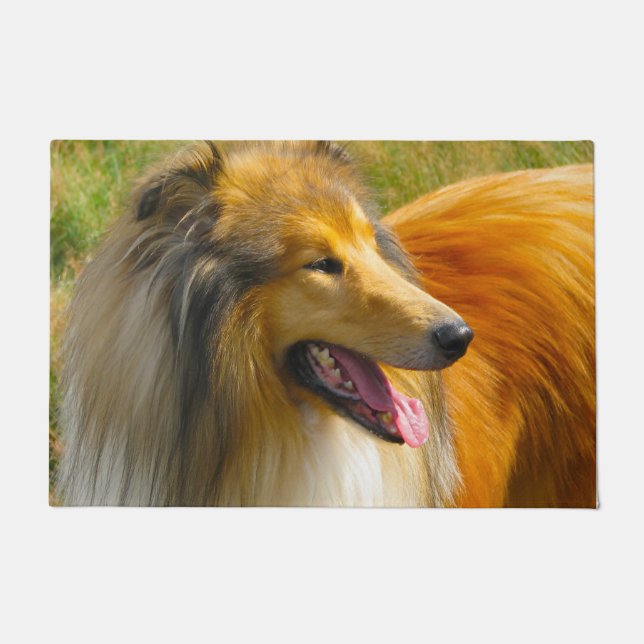 Paillasson Rough Collie. (Devant)