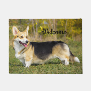 Paillasson Sable Cardigan Welsh Corgi Chien