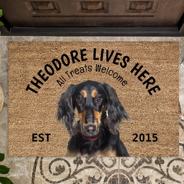 Paillasson Saluki Personalized Dog Lover Doormat (Créateur téléchargé)