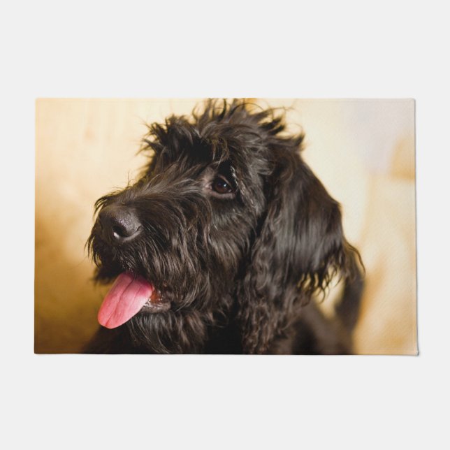 Paillasson Schnauzer Chien. (Devant)