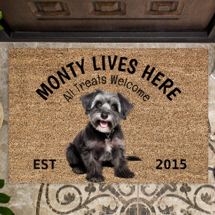 Paillasson Schnoodle Porte Amoureux des chiens personnalisé