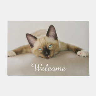 Paillasson Séjour Cool Chill Out Chat Kitten, Entrée Bienvenu
