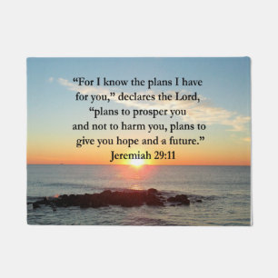 PAILLASSON SERENE JEREMIAH 29:11 SCELER