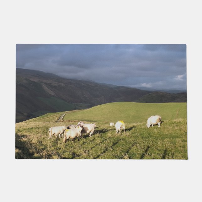 PAILLASSON SHEEP DE MONTAGNE (Devant)