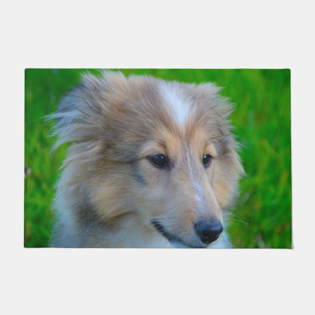 Paillasson Shetland Sheepdog. (Devant)