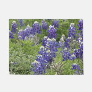 Paillasson SJefferson Texas Bluebonnets Series #2