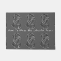 slogan avec portrait de black labrador dog