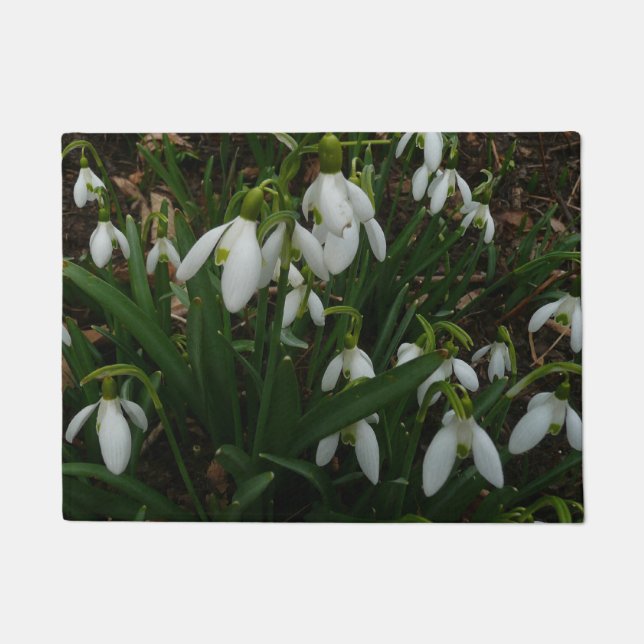 Paillasson Snowdrops I (Devant)