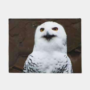 Paillasson Snowy Owl dmcnm