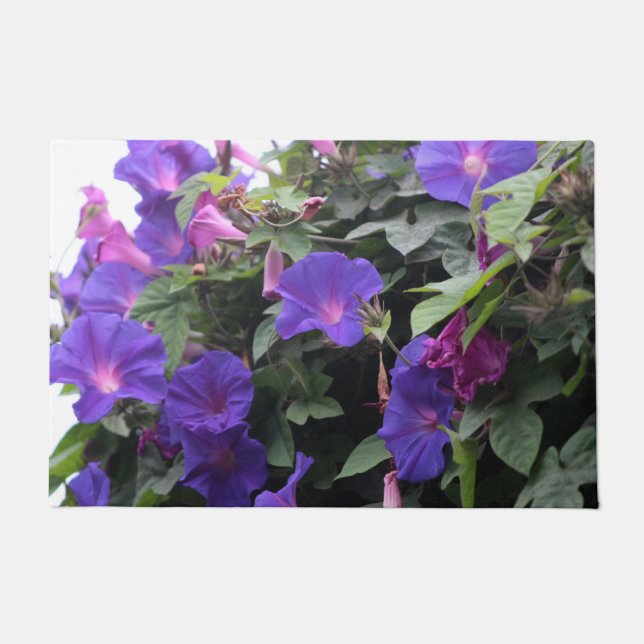 Paillasson Spring Morning Glories en bleu (Devant)