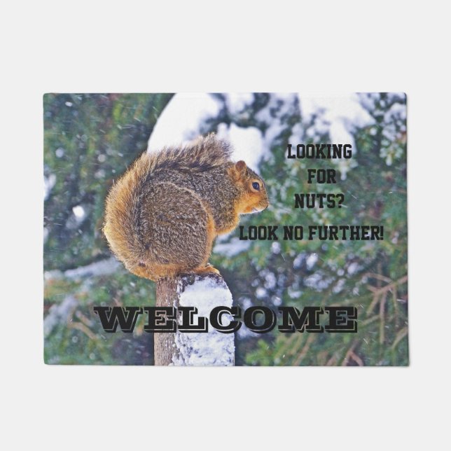 PAILLASSON SQUIRREL SUR LA NEIGE COUVERT POST/RECHERCHE DE NU (Devant)