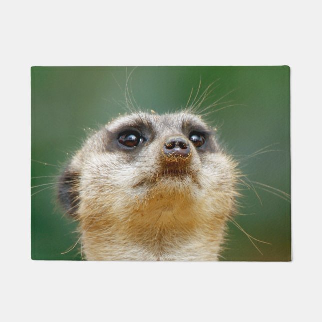 Paillasson Suricate 012 (Devant)