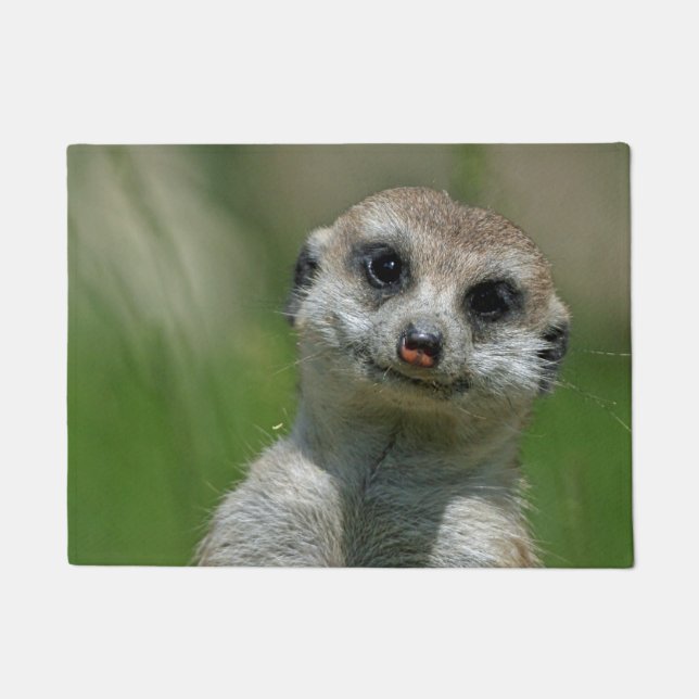Paillasson Suricate 013 (Devant)