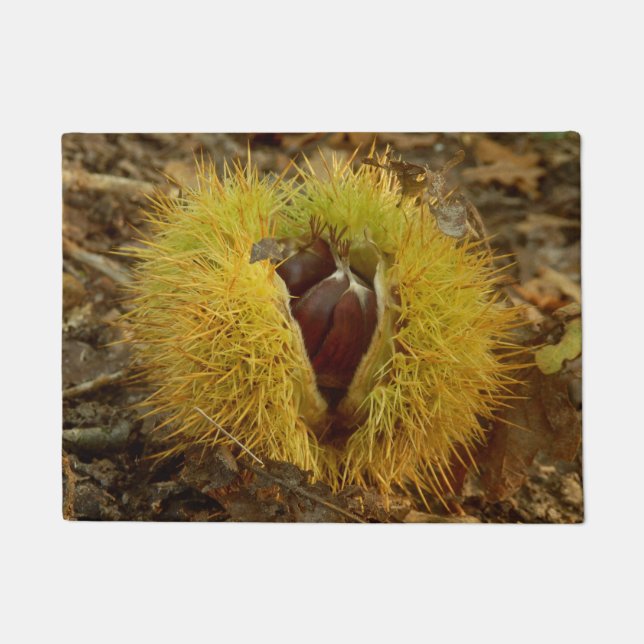 Paillasson Sweet Chestnut (Devant)