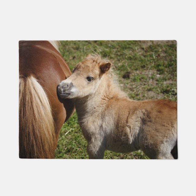 Paillasson Sweet Haflinger Foal (Devant)