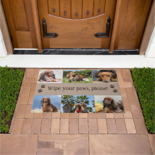Paillasson Taupe essuyer vos pattes 6 photos de chiens