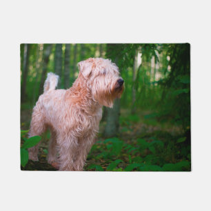 Paillasson Terrier irlandais à poil doux.