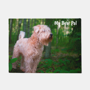 Paillasson Terrier irlandais à poil doux.