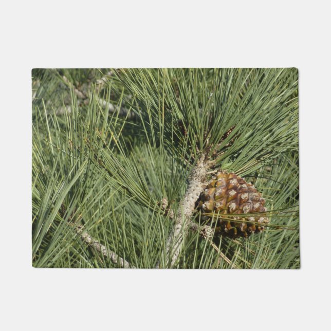 Paillasson Torrey Pine Closeup California Botanical (Devant)