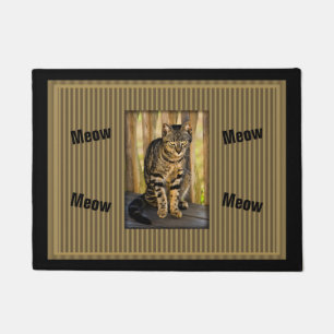 Paillasson Tortoiseshell Cat Portrait, Closeuse Animal Photo