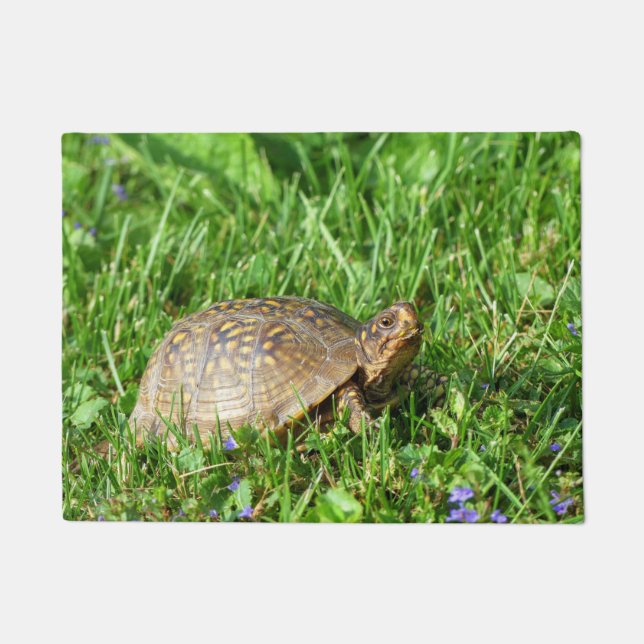 Paillasson Tortue (Devant)