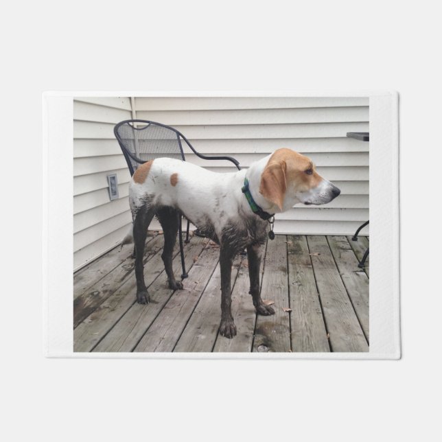 Paillasson treeing walker coonhound sale (Devant)