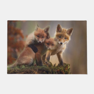 Paillasson Triplets Foxy
