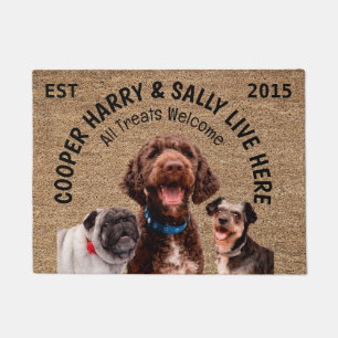 Paillasson Trois Chiens personnalisés