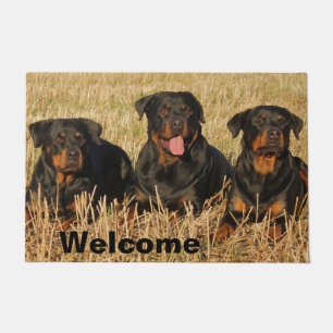 Paillasson Trois chiens Rottweiler - Pack de Rotties Bienvenu