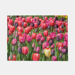 Paillasson Tulipes colorées de ressort