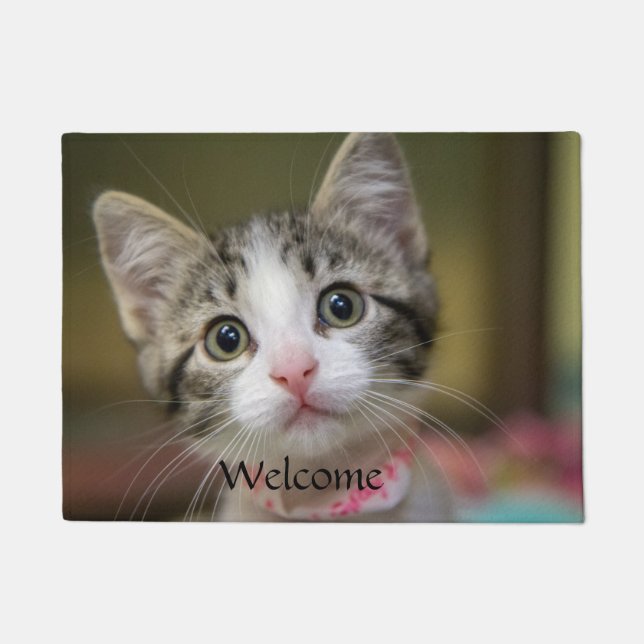 Paillasson Un mignon chaton aux yeux verts (Devant)