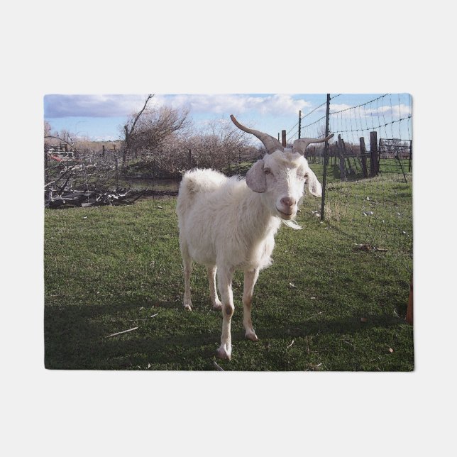 Paillasson Une jeune chèvre (Devant)