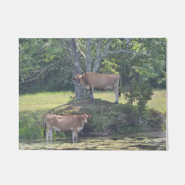 Paillasson Vaches de campagne (Devant)