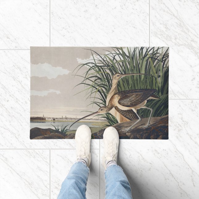 Paillasson Vintage Audubon Long-billed Curlew Bird Art (Intérieur)