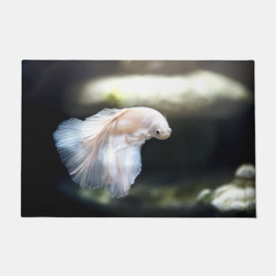 Paillasson White siamese Fighting Fish