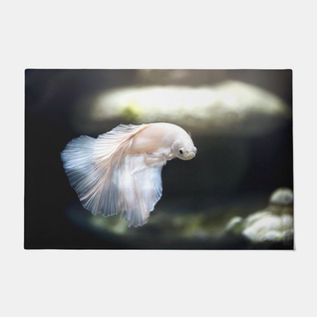 Paillasson White siamese Fighting Fish (Devant)