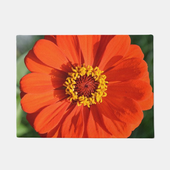 Paillasson Zinnia orange (Devant)