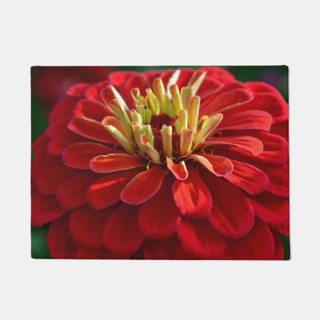 Paillasson Zinnia rouge (Devant)