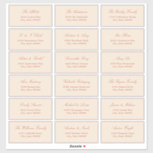 Paille de terre cuite Beige 18 Étiquettes de adres